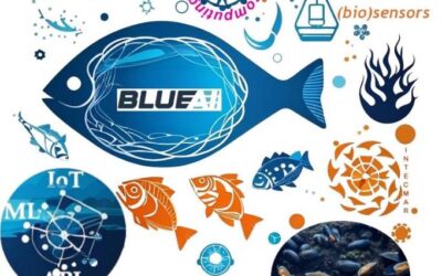 GOB ofrece un contrato predoctoral en el marco del proyecto BlueAI
